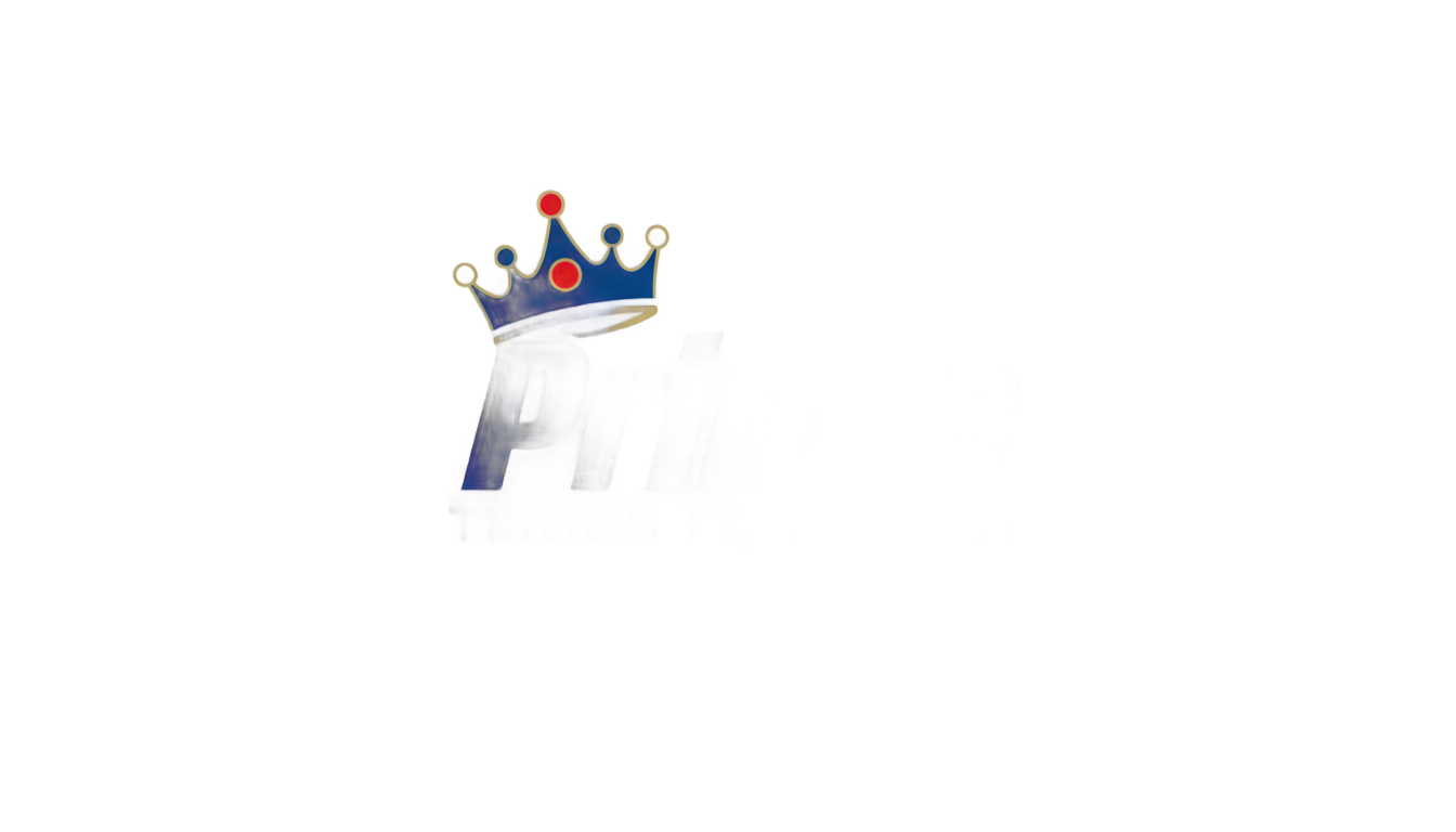 prince tennis logo png PNG transparent background