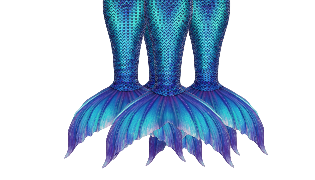 mermaid tails png PNG transparent background