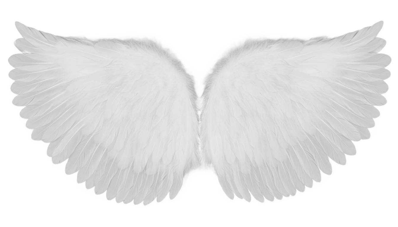 simple angel wings png PNG transparent background