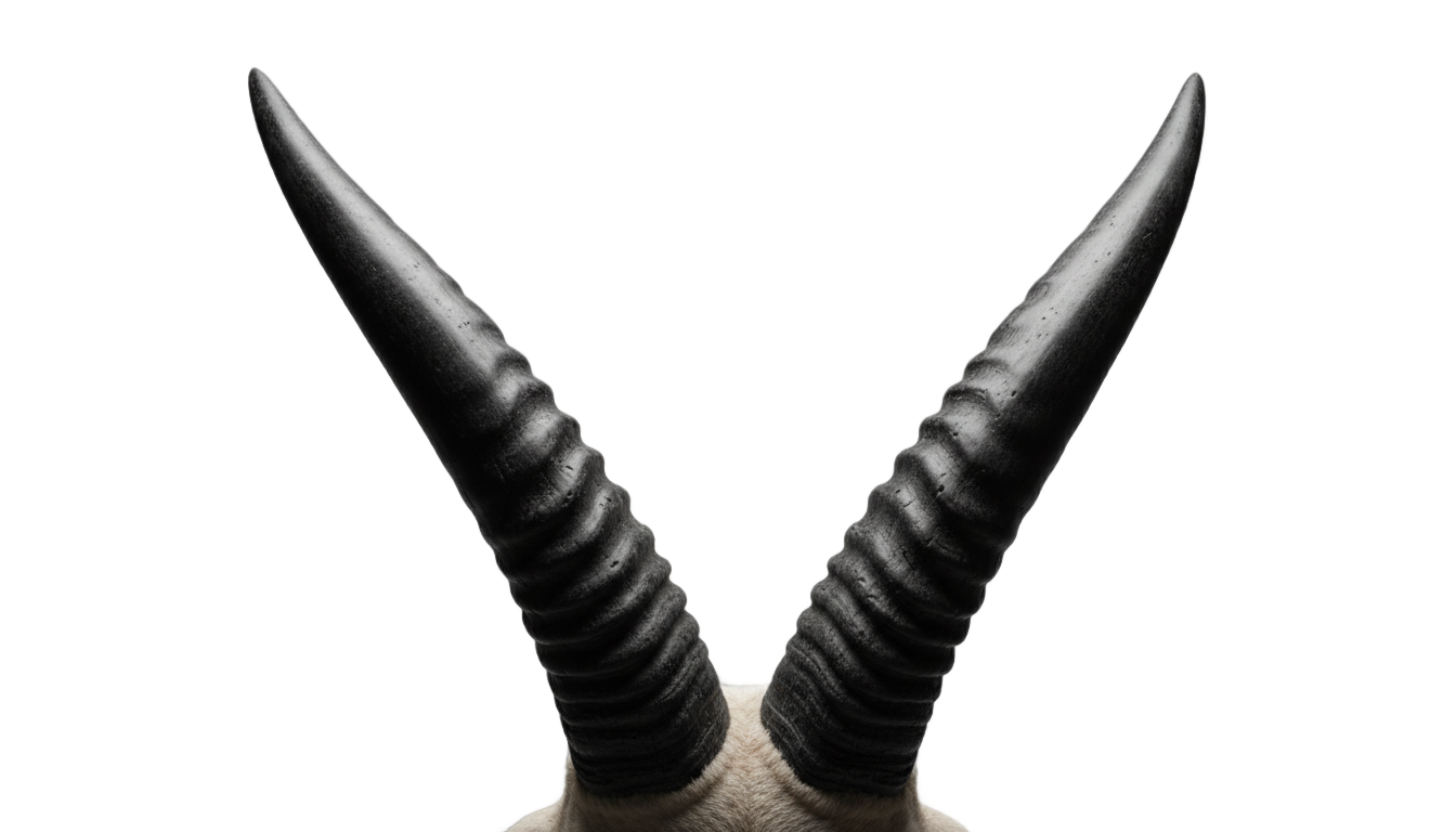 demon horn png PNG transparent background