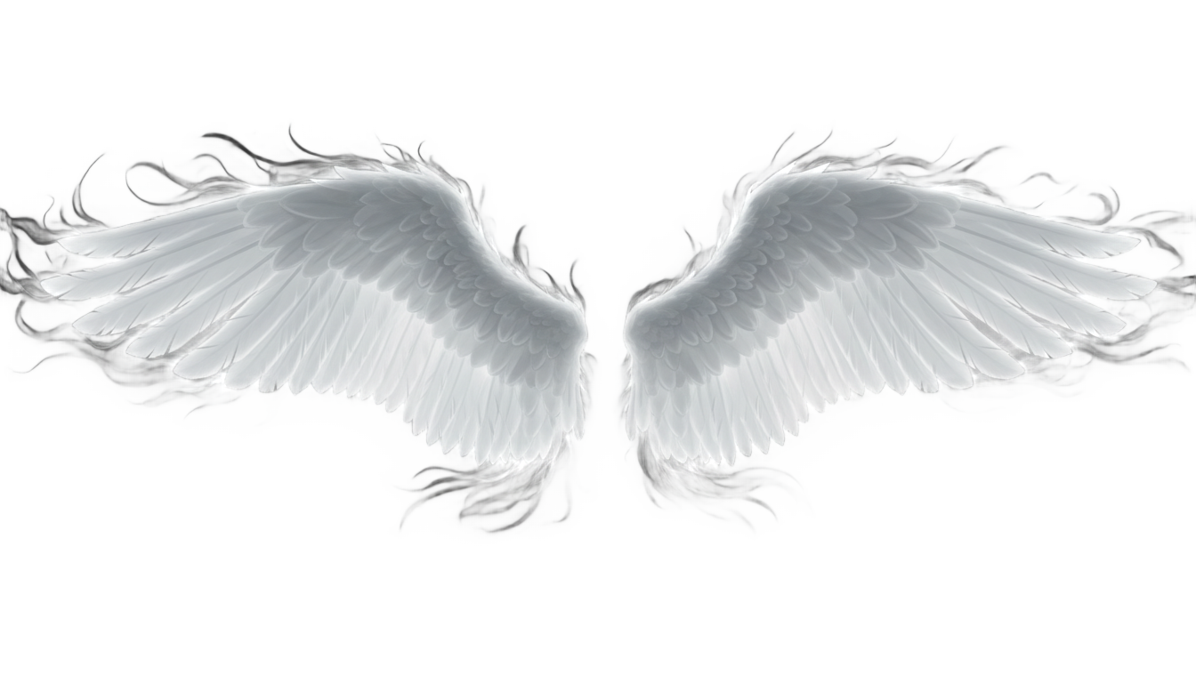 angel wings gif png PNG transparent background