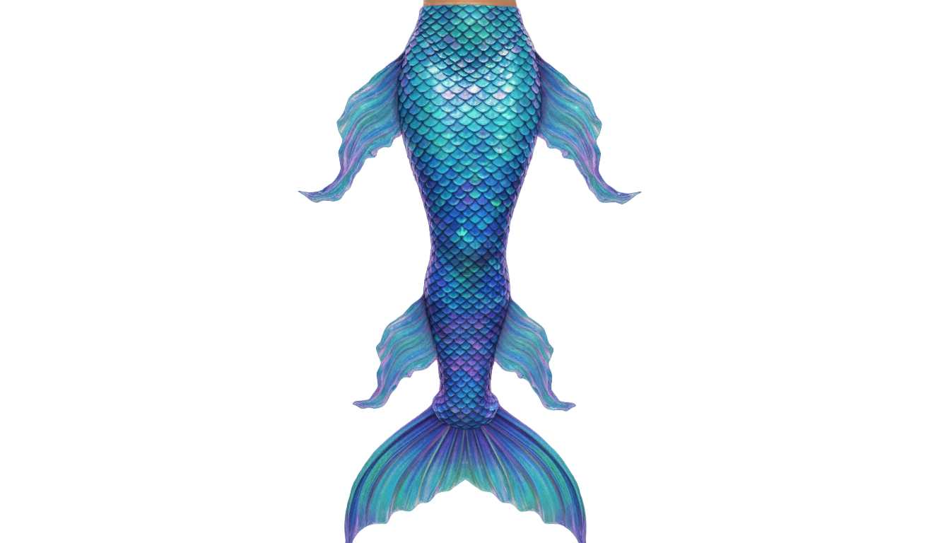 mermaid tail vector png PNG transparent background