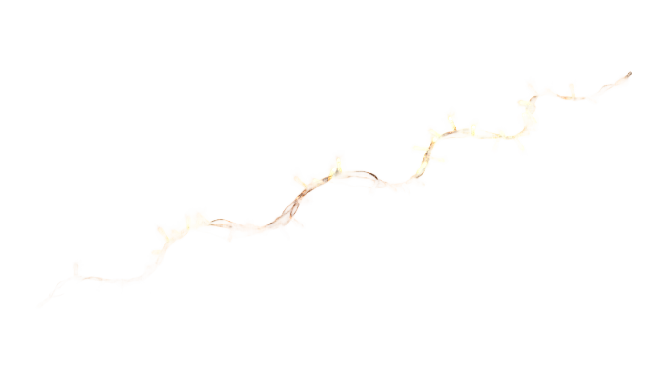 hanging fairy lights png PNG transparent background