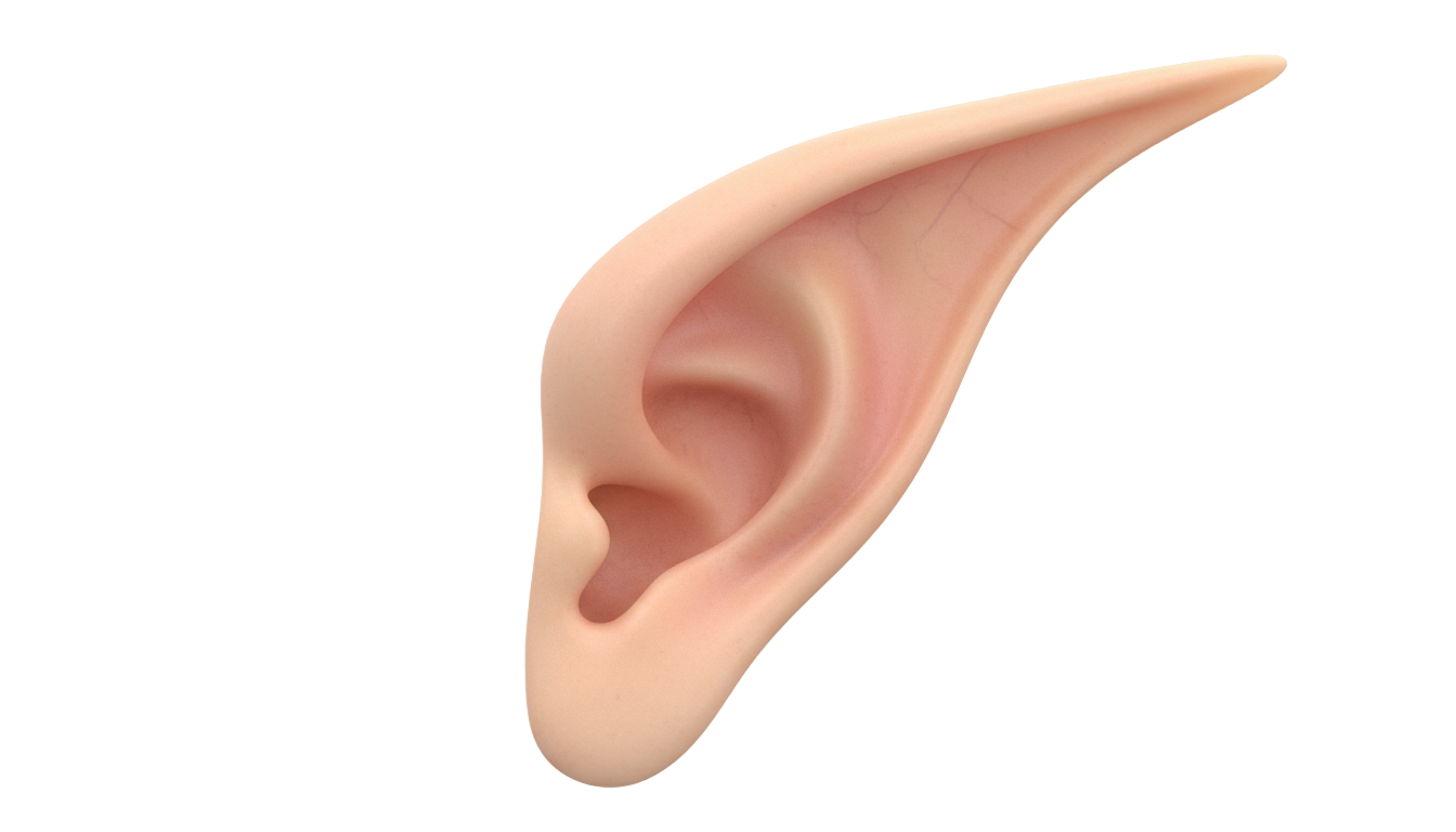 fairy ears png PNG transparent background