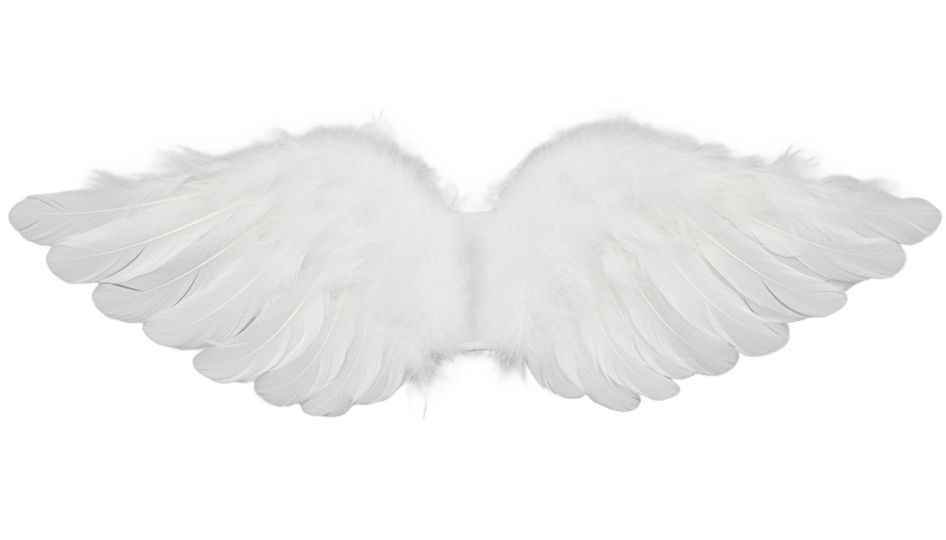 dog angel wings png PNG transparent background