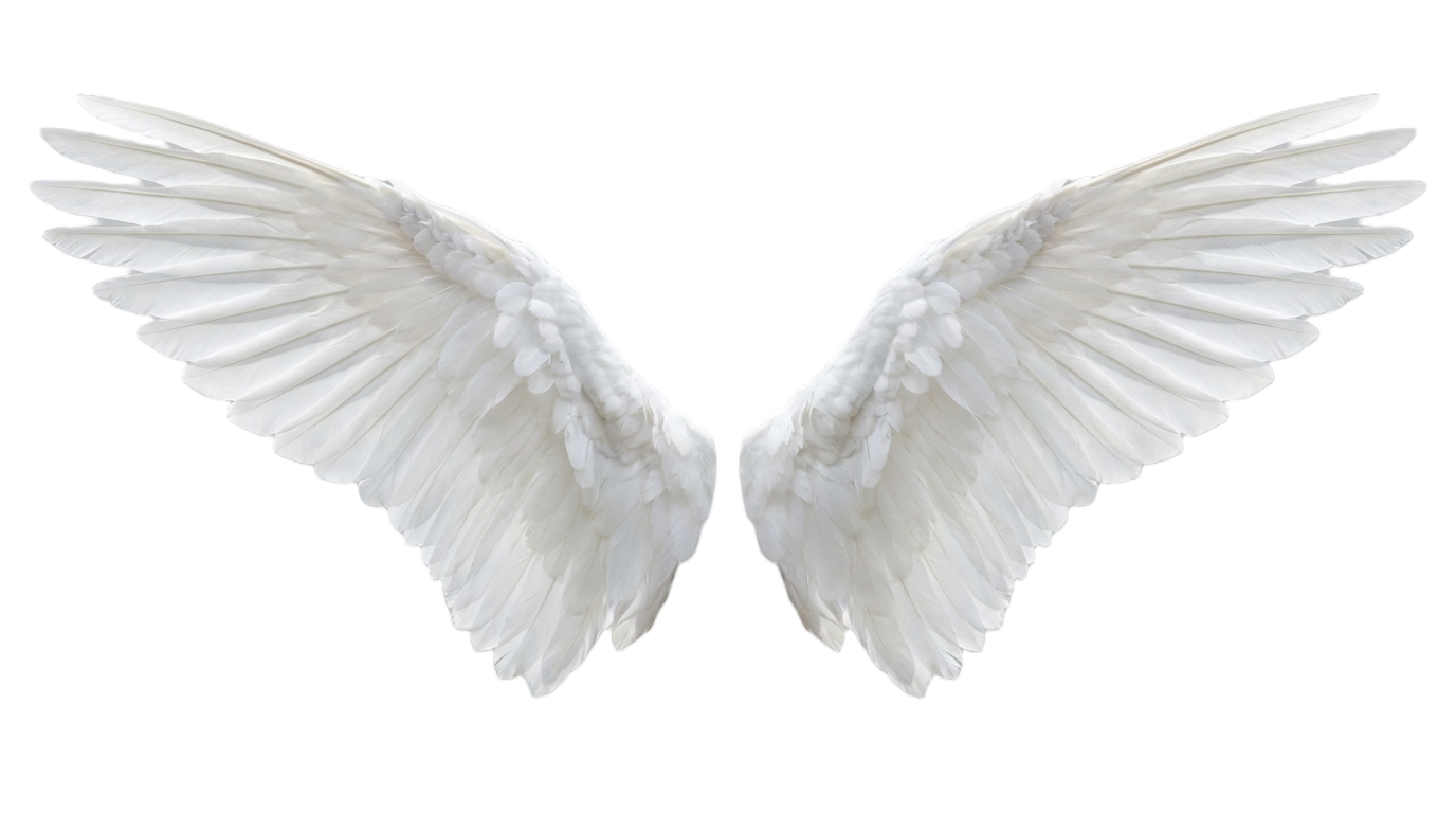 wings angel png PNG transparent background