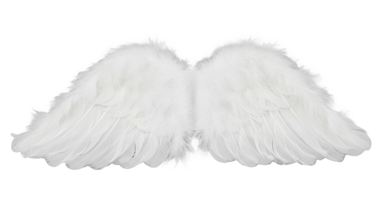 dog angel wings png PNG transparent background