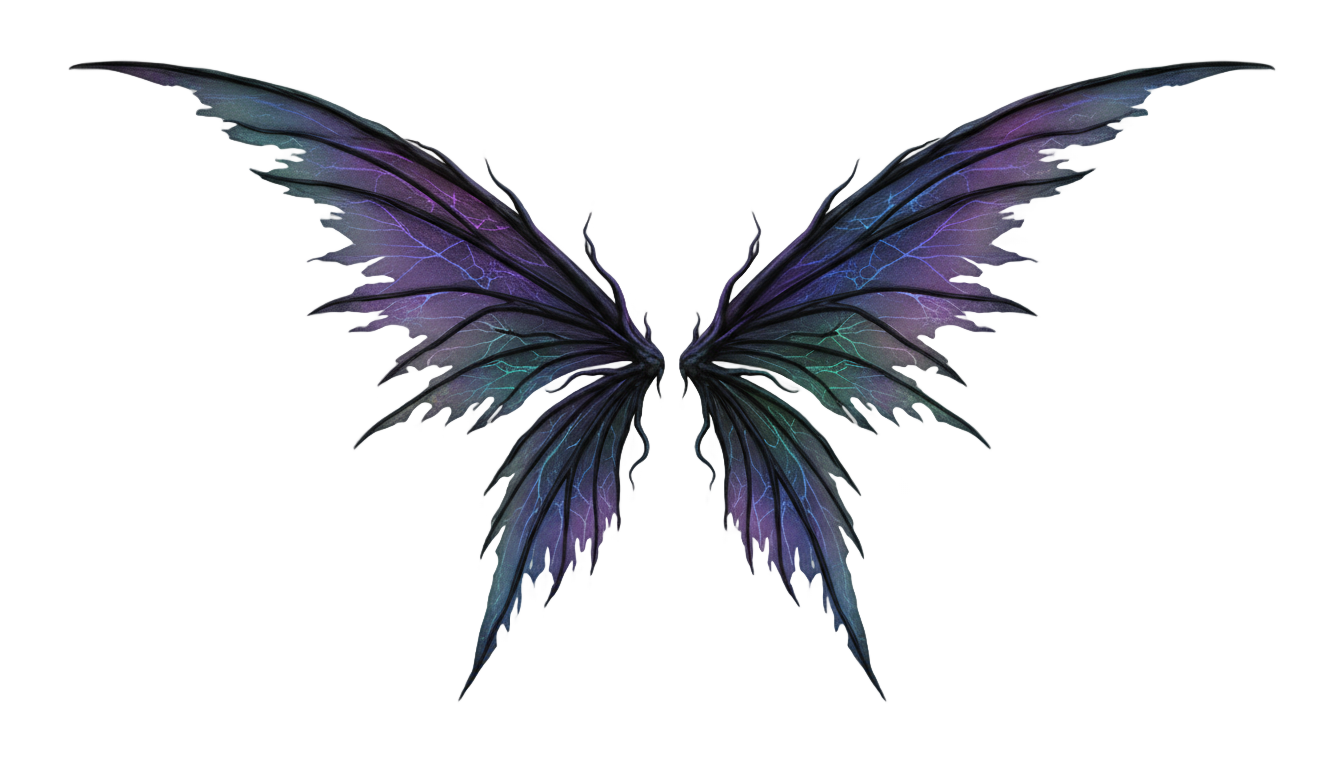 black fairy wings png PNG transparent background