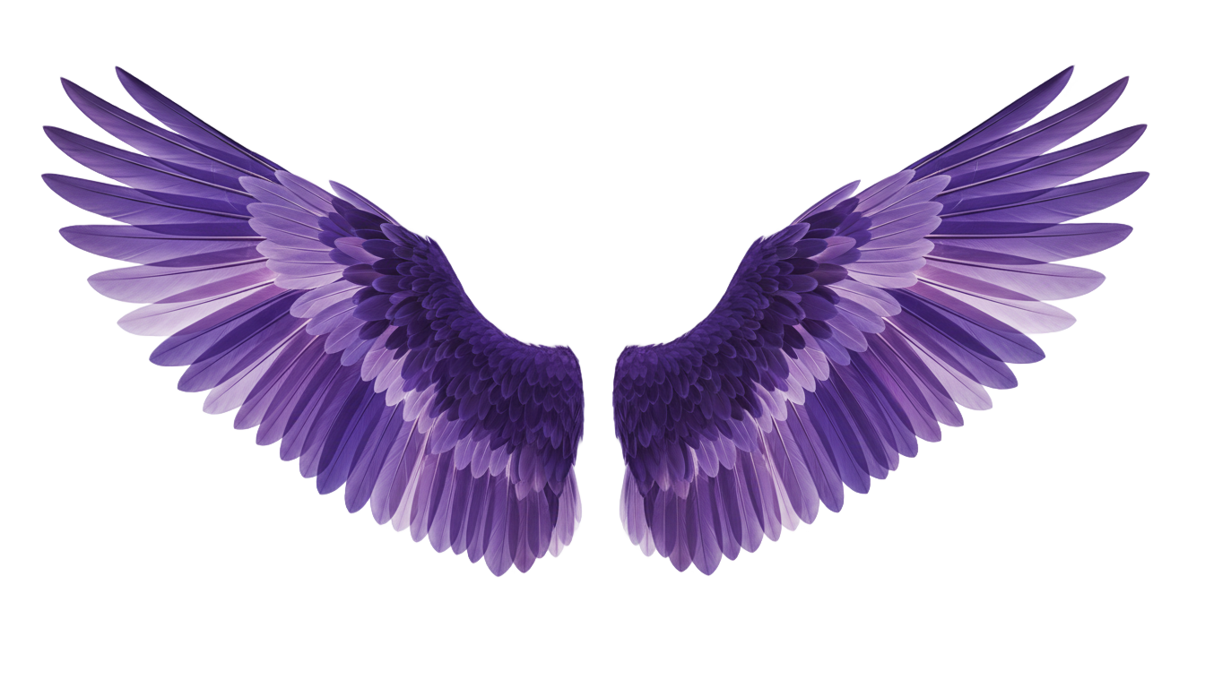 purple angel wings png PNG transparent background