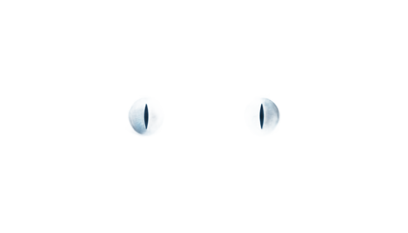 ghost eyes png PNG transparent background