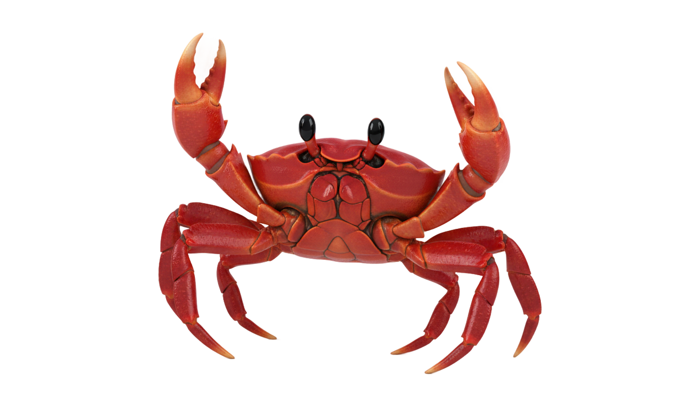 little mermaid crab png PNG transparent background