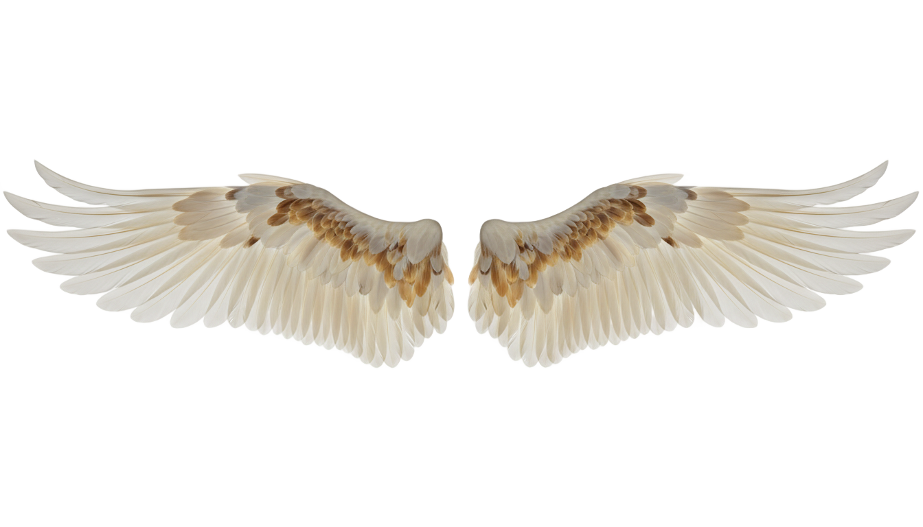 angel wing logo png PNG transparent background