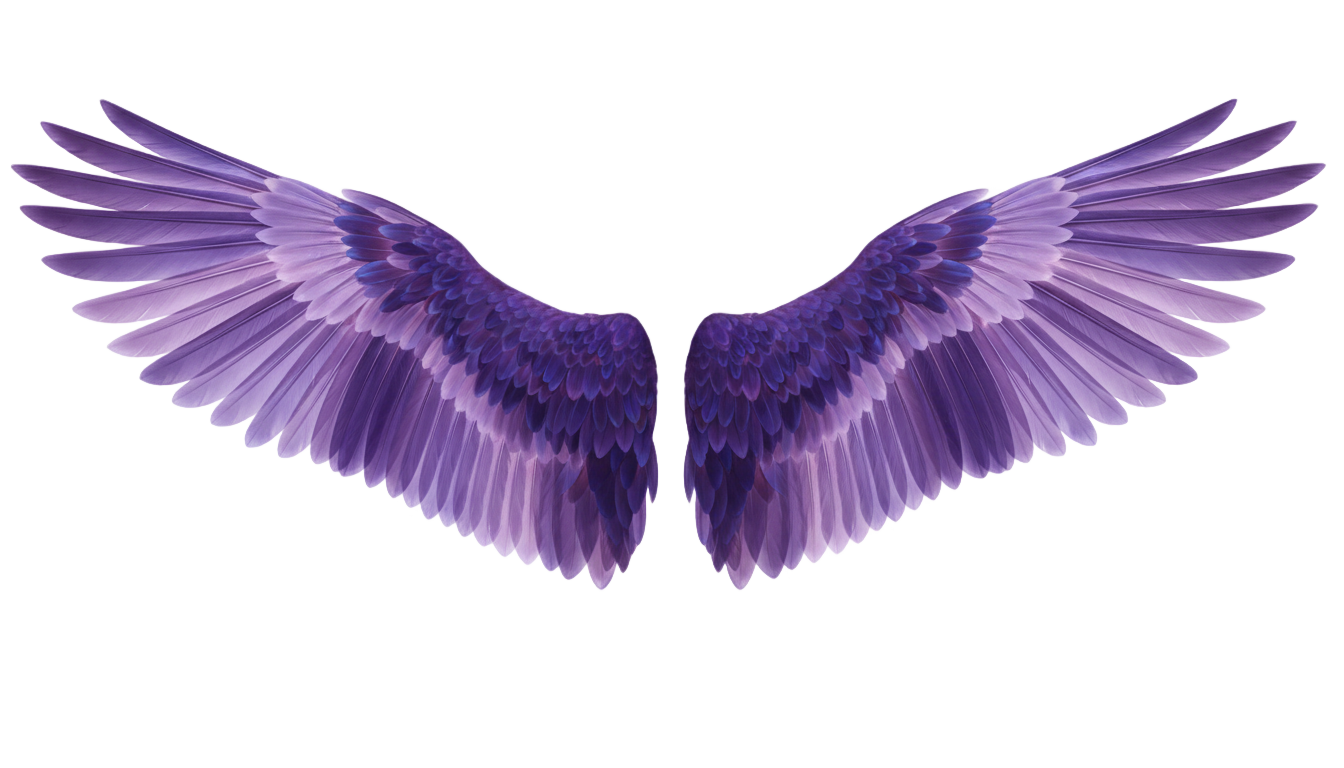 purple angel wings png PNG transparent background