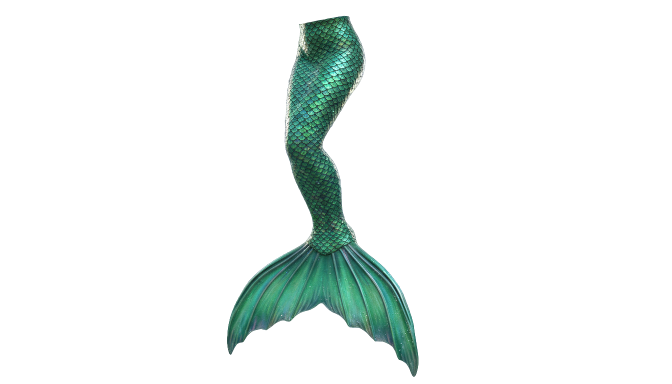 green mermaid tail png PNG transparent background