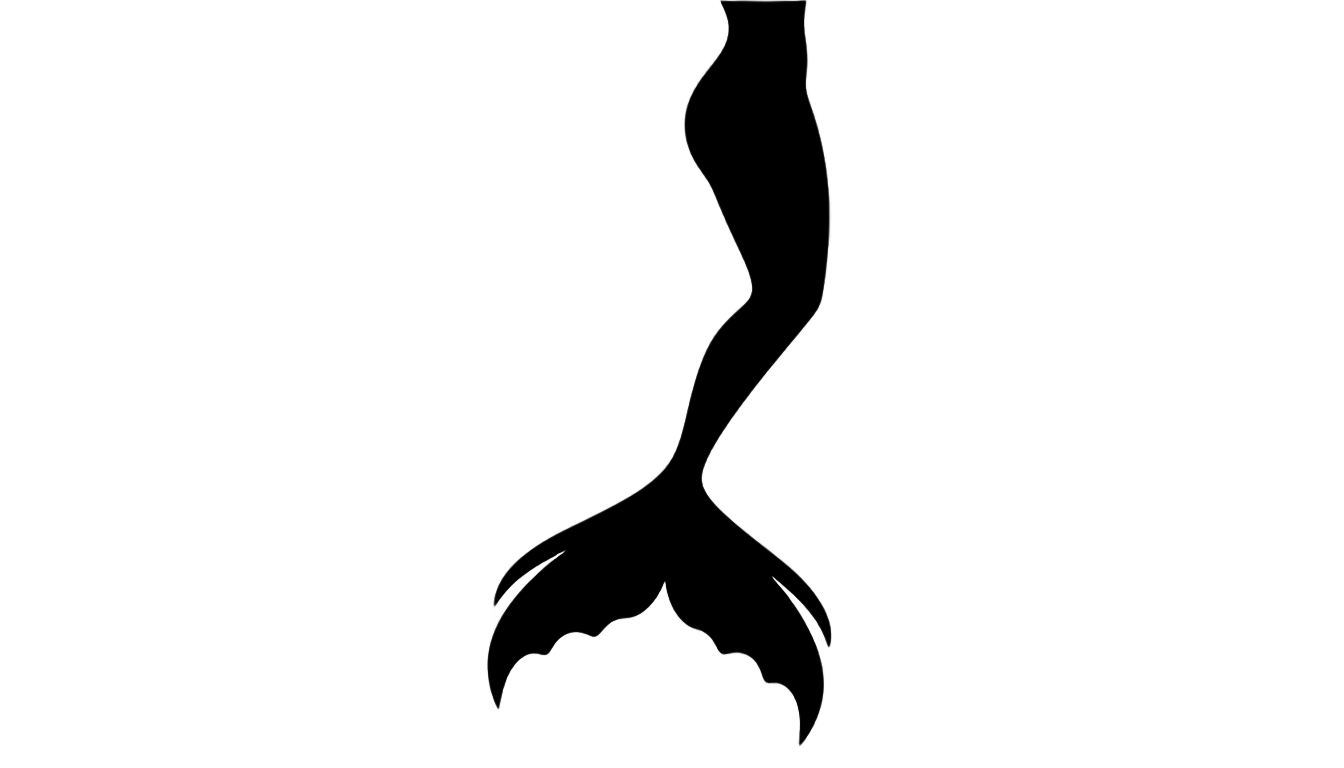 mermaid tail silhouette png PNG transparent background