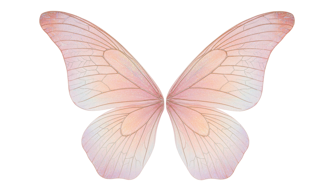 pink fairy wings png PNG transparent background