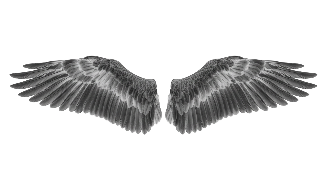 angel wings png black and white PNG transparent background