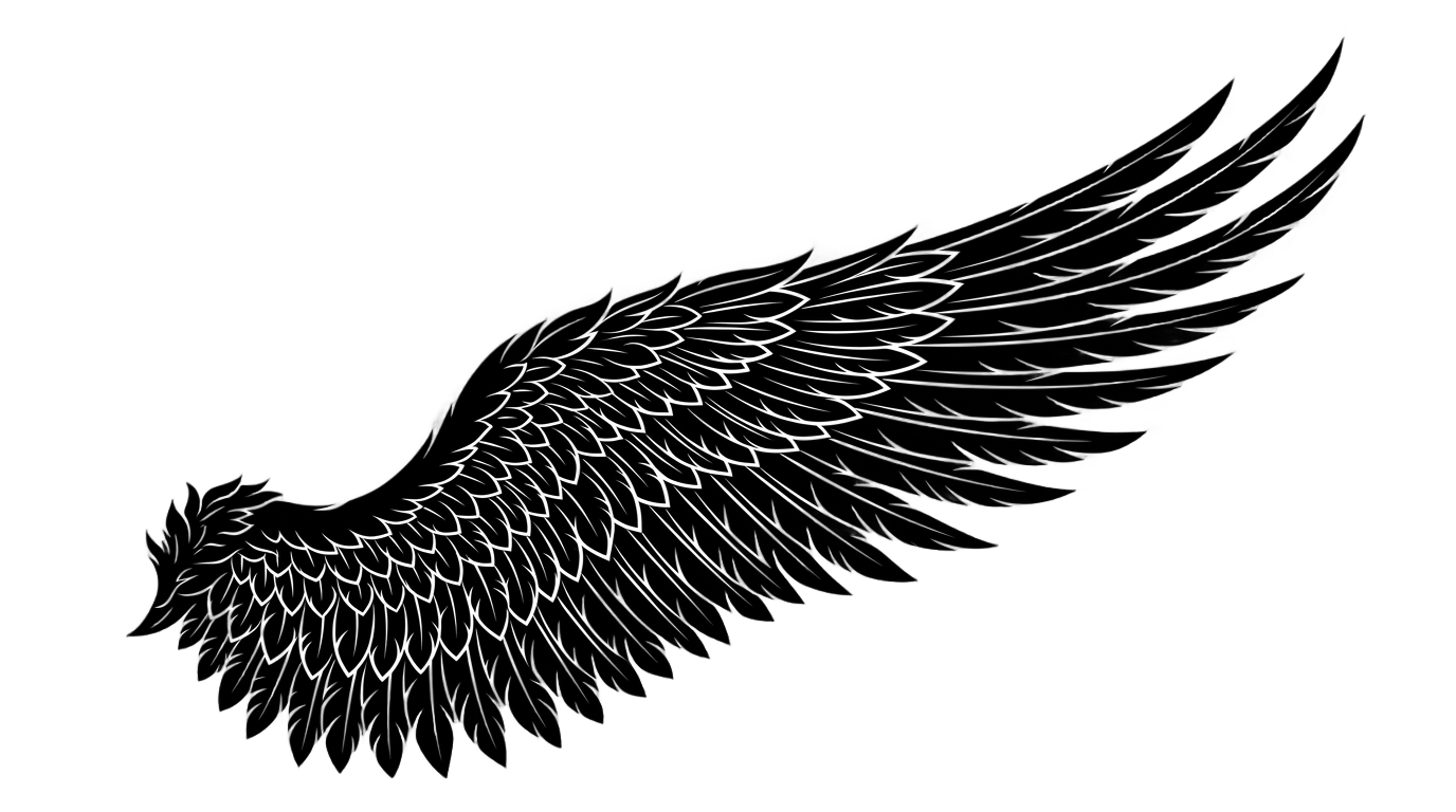 angel wing silhouette png PNG transparent background