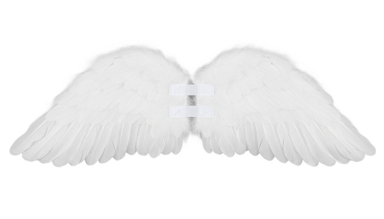 dog angel wings png PNG transparent background