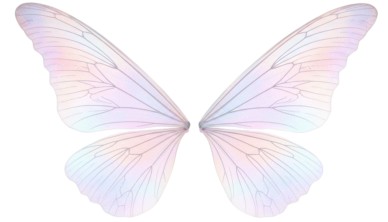 fairy wings png PNG transparent background