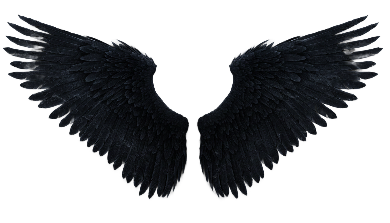 fallen angel wings png PNG transparent background