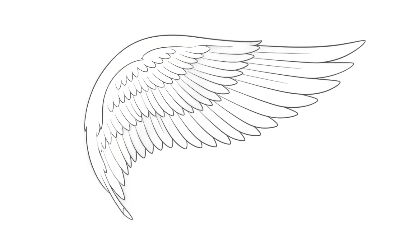 angel wing outline png PNG transparent background