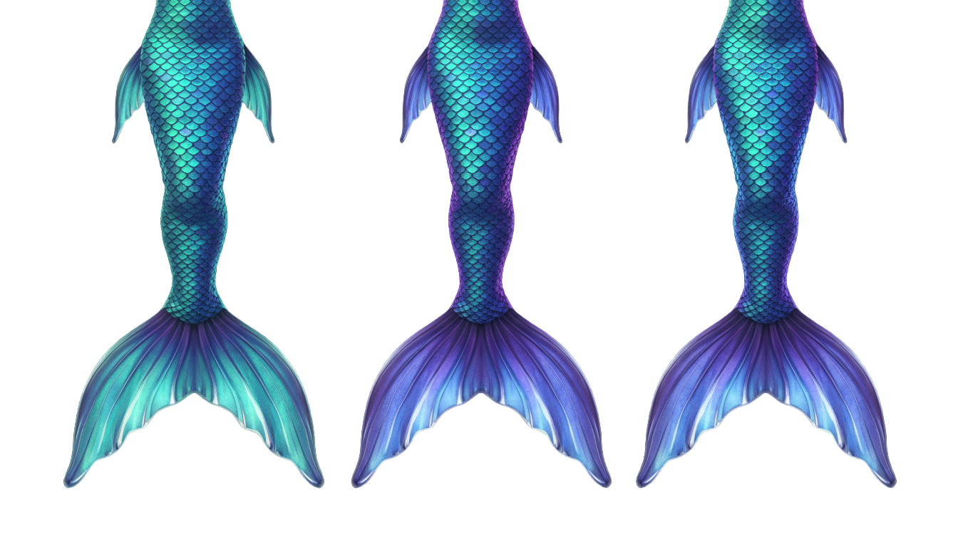 mermaid tails png PNG transparent background