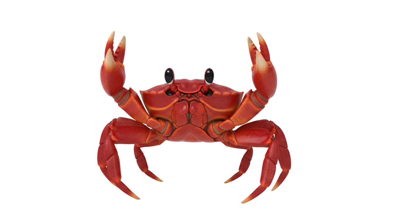 little mermaid crab png PNG transparent background