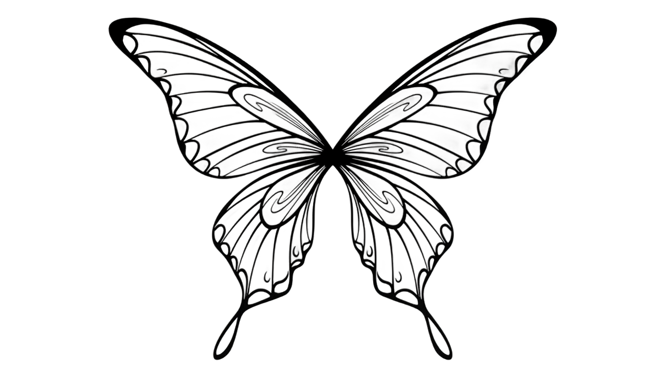 fairy wings silhouette png PNG transparent background