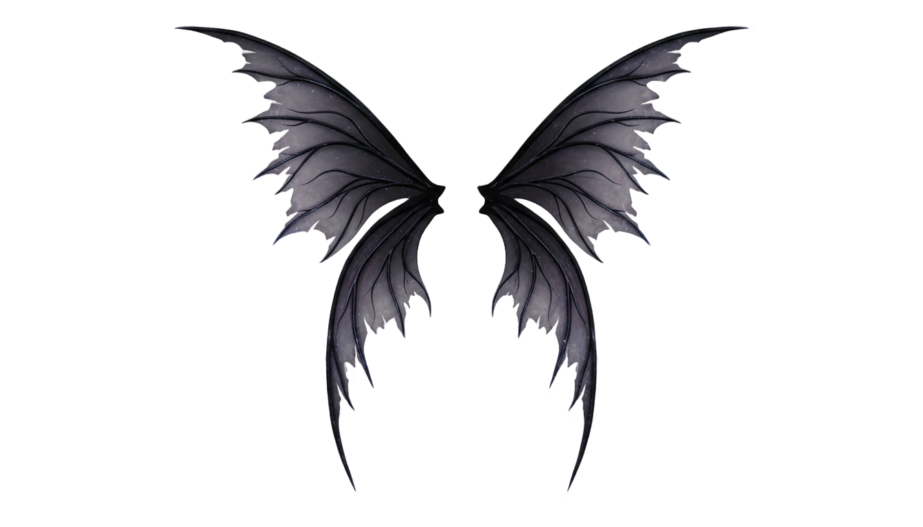 black fairy wings png PNG transparent background