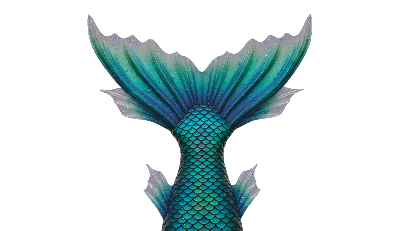 realistic mermaid tail png PNG transparent background