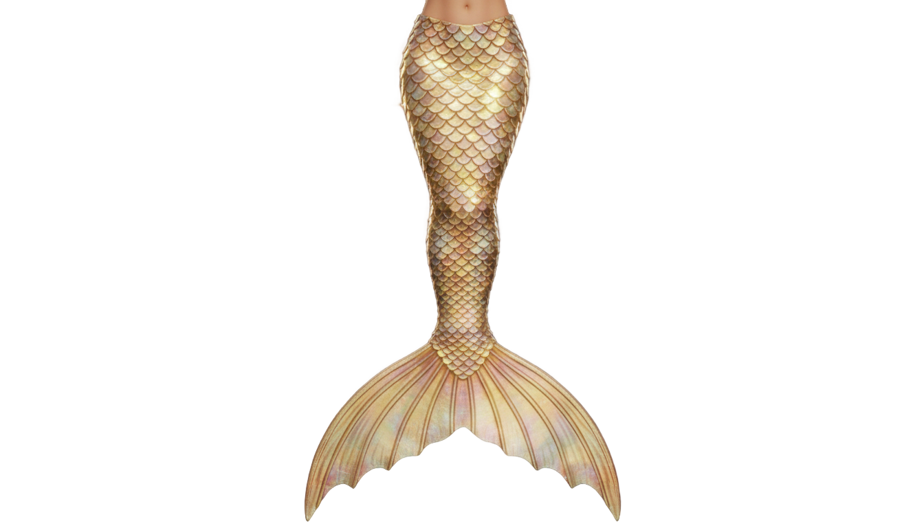 gold mermaid tail png PNG transparent background