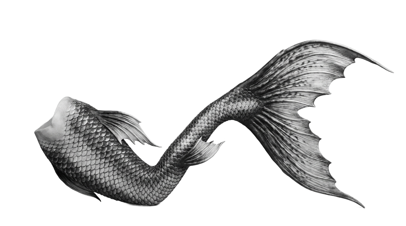 mermaid tail png black and white PNG transparent background
