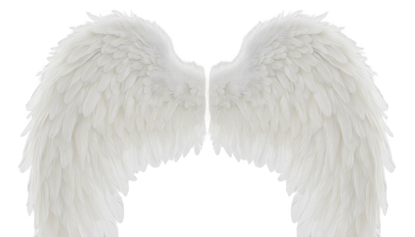 angel wings sticker png PNG transparent background