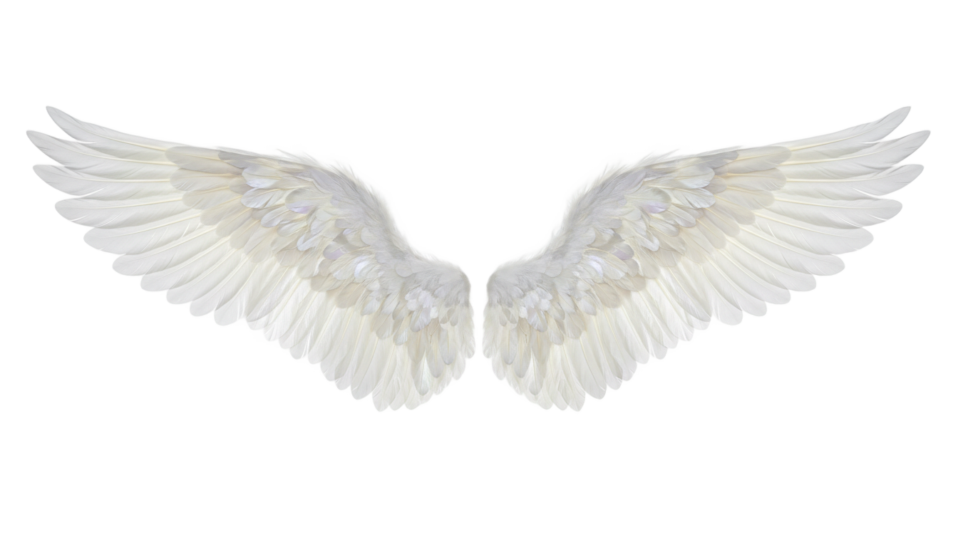 angel wings illustration png PNG transparent background