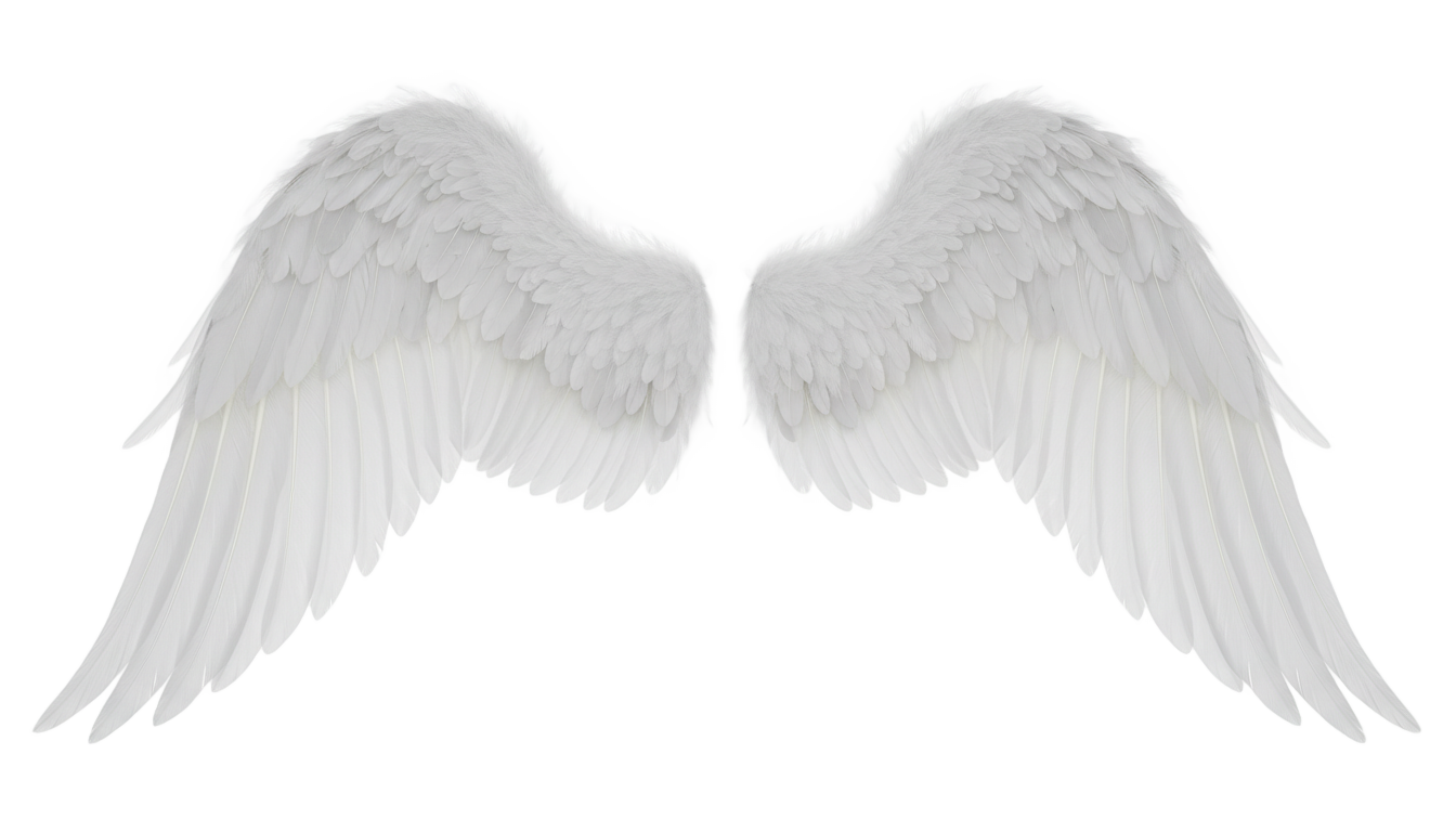 angel wings illustration png PNG transparent background