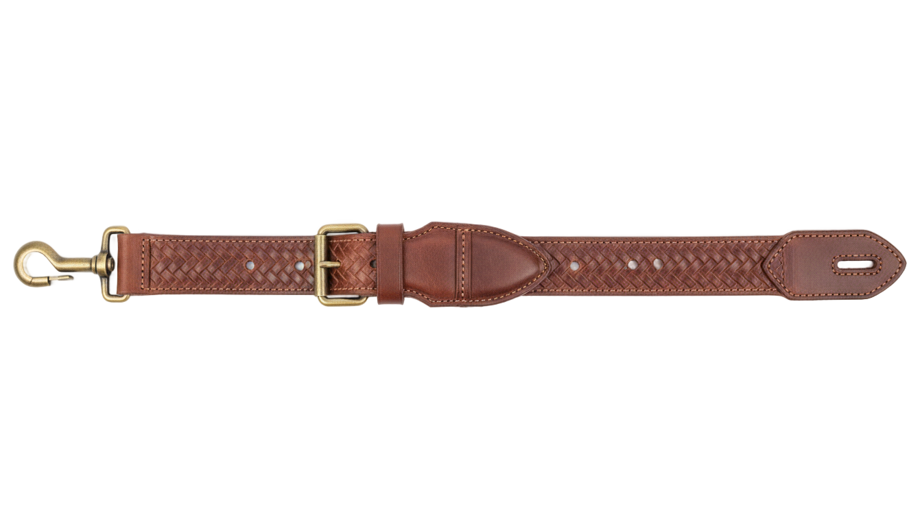 guitar belt png PNG transparent background