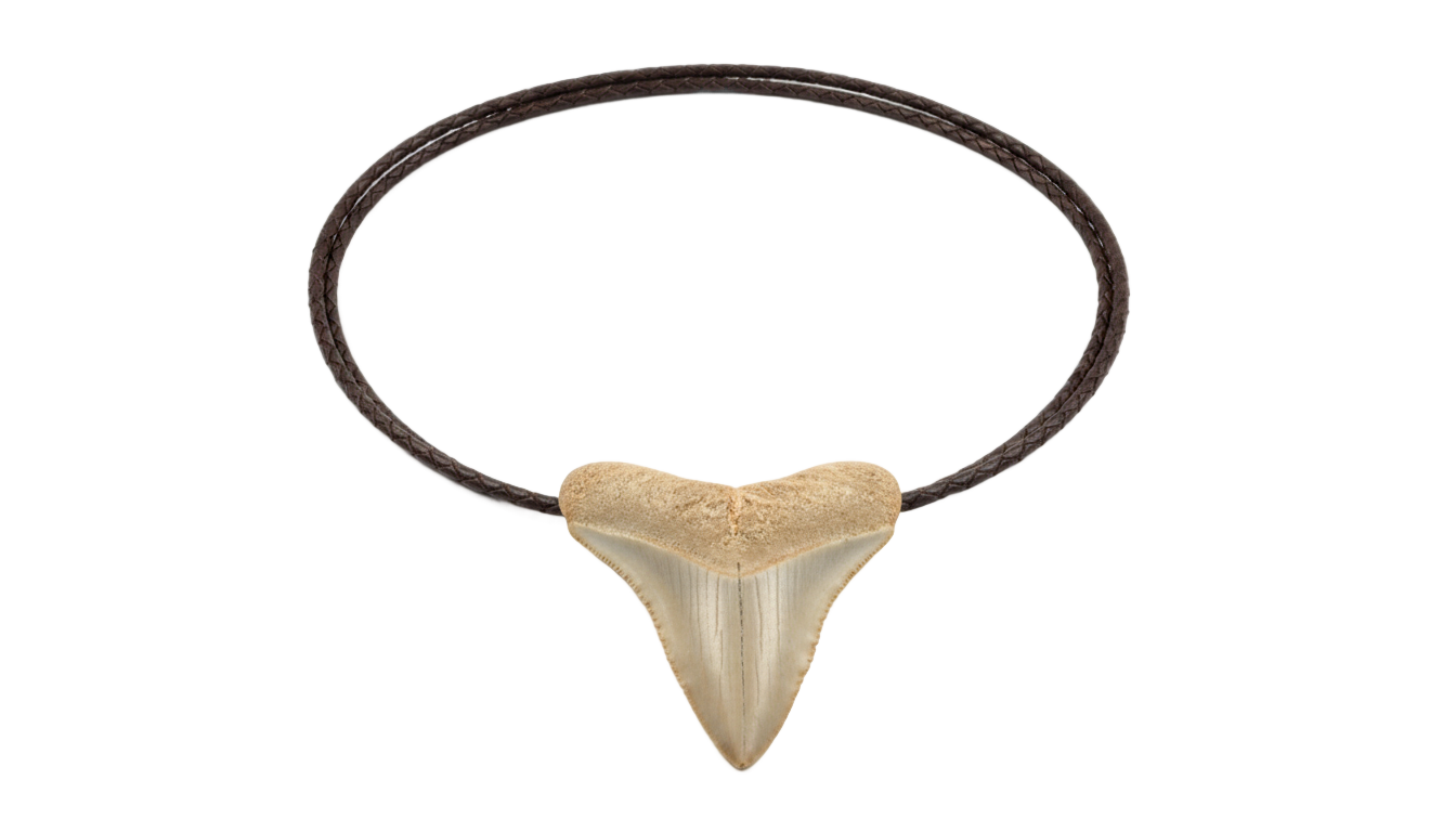 shark tooth necklace png PNG transparent background
