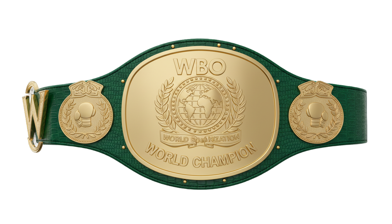 wbo belt png PNG transparent background