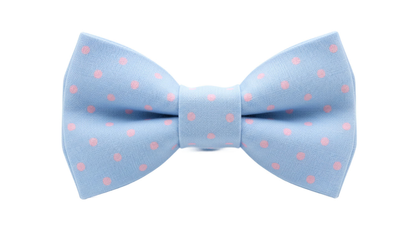 cute bow tie png PNG transparent background