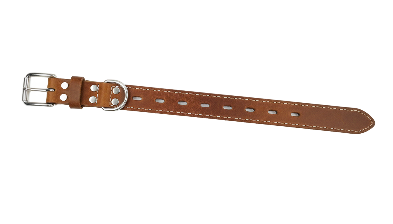 dog belt png PNG transparent background