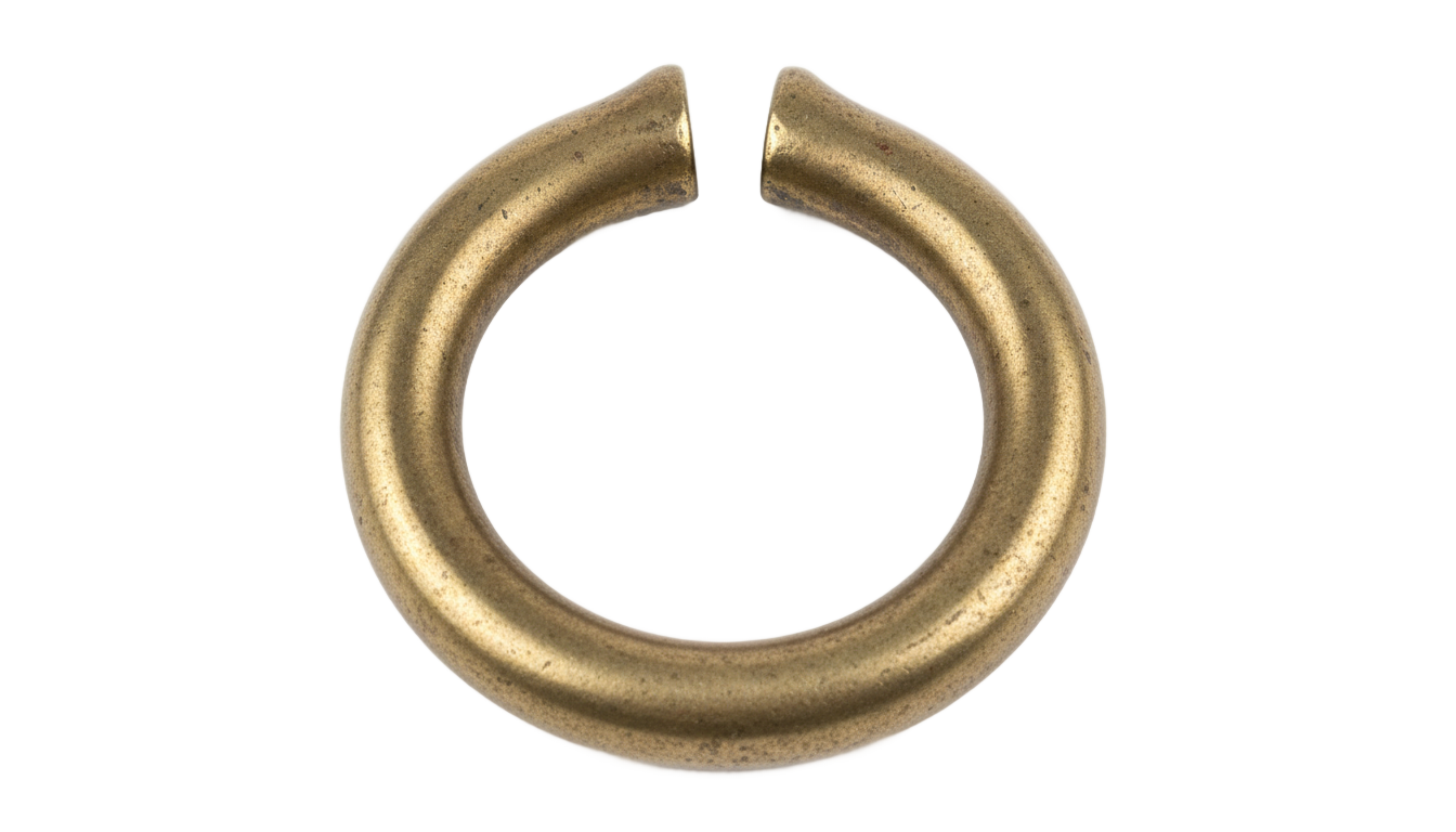 bull nose ring png PNG transparent background