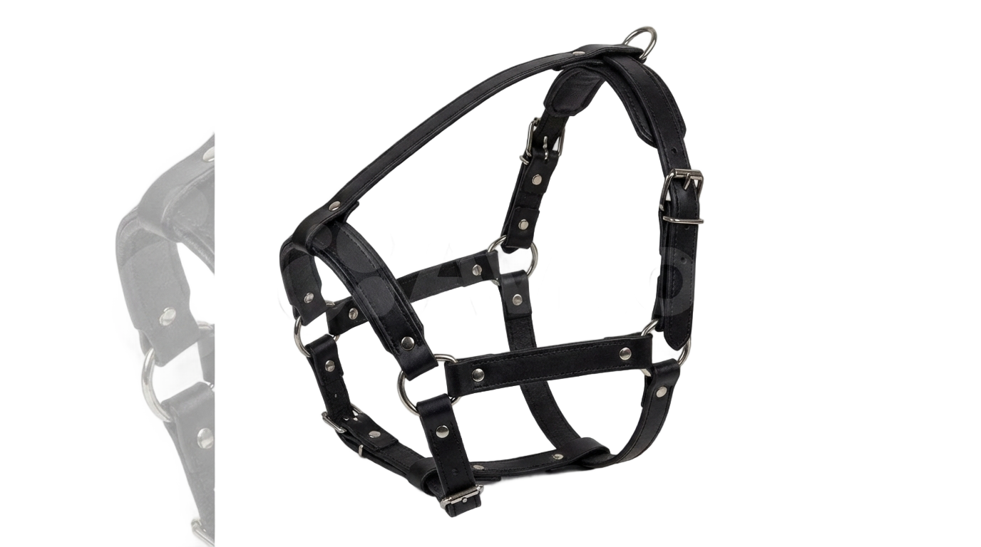 head belt png PNG transparent background