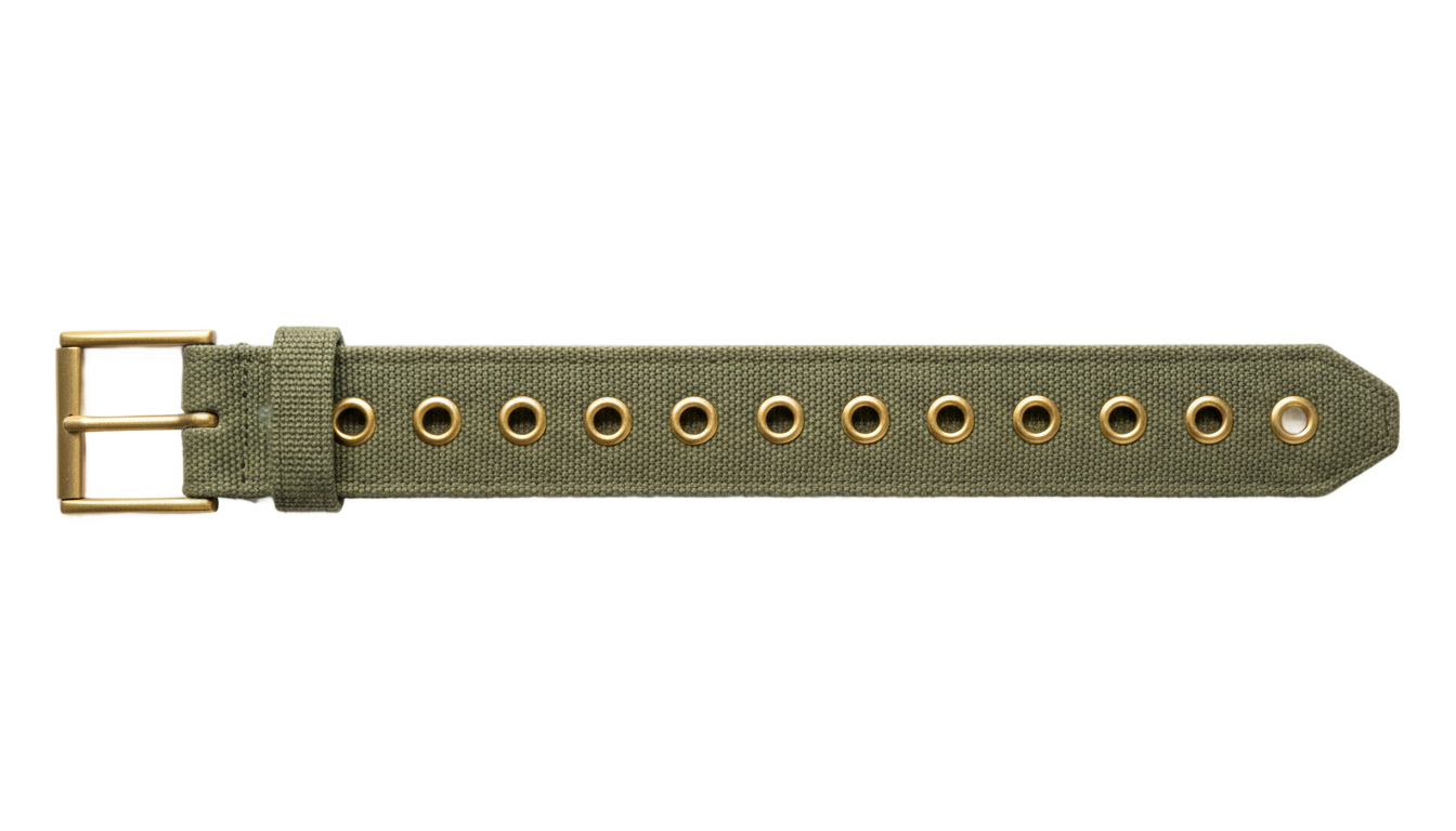 grommet belt png PNG transparent background