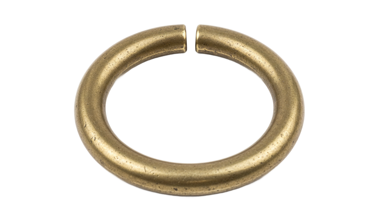 bull nose ring png PNG transparent background