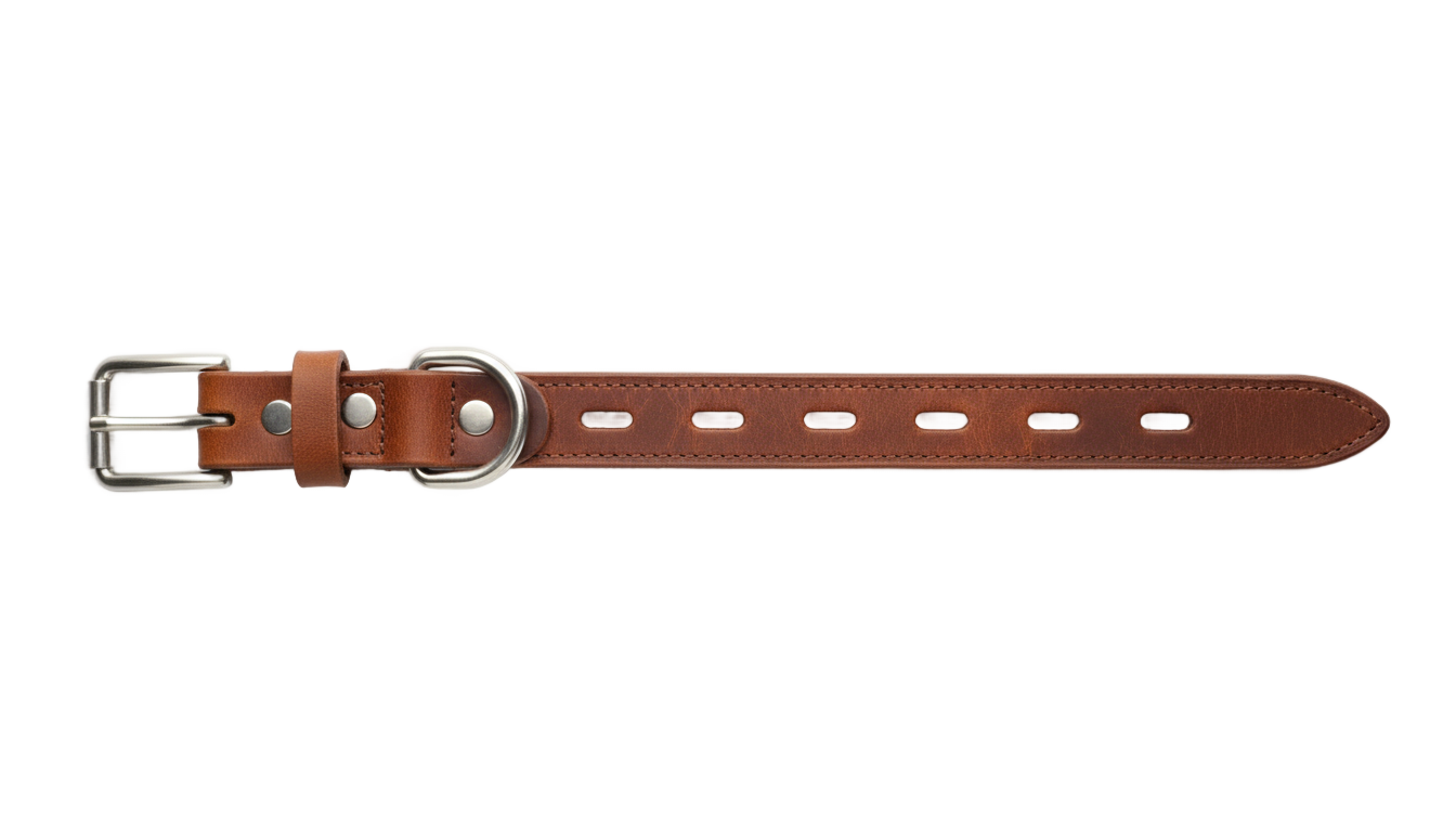 dog belt png PNG transparent background