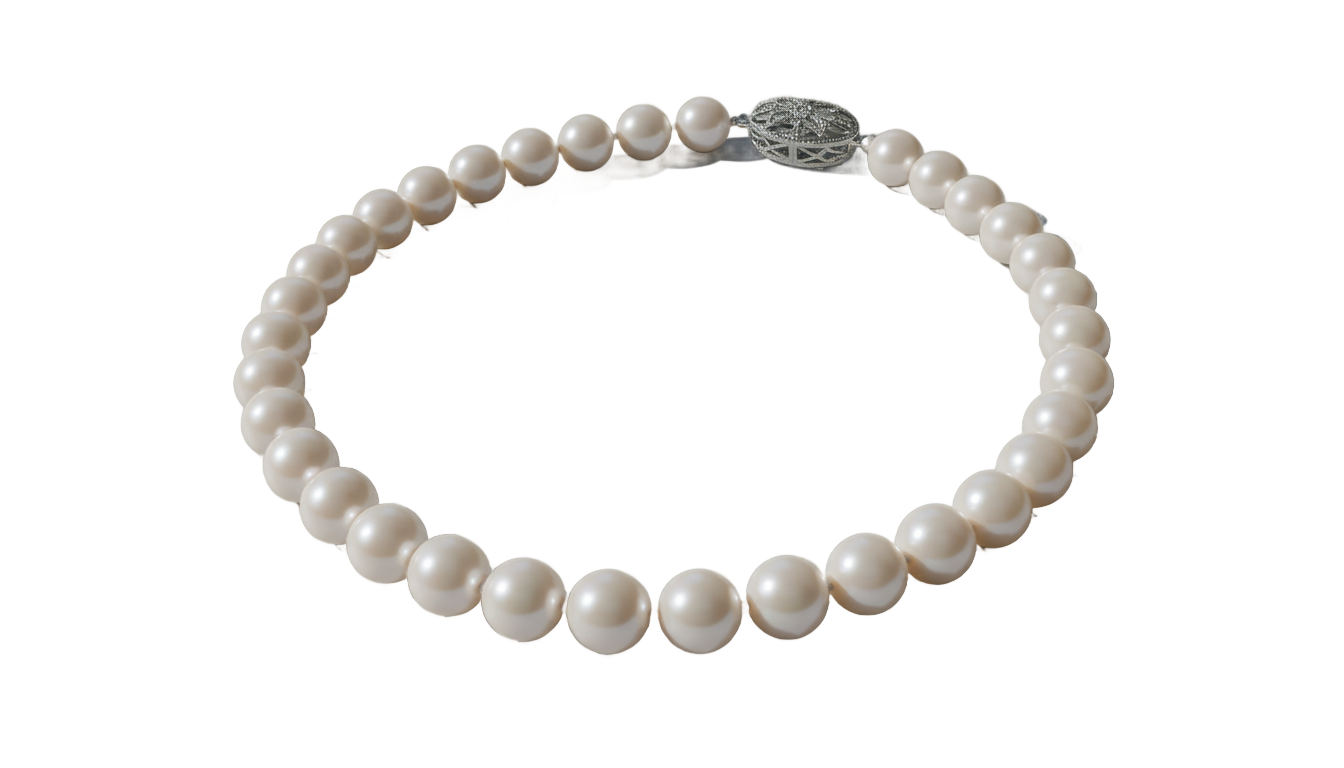 png jewellers pearl necklace PNG transparent background