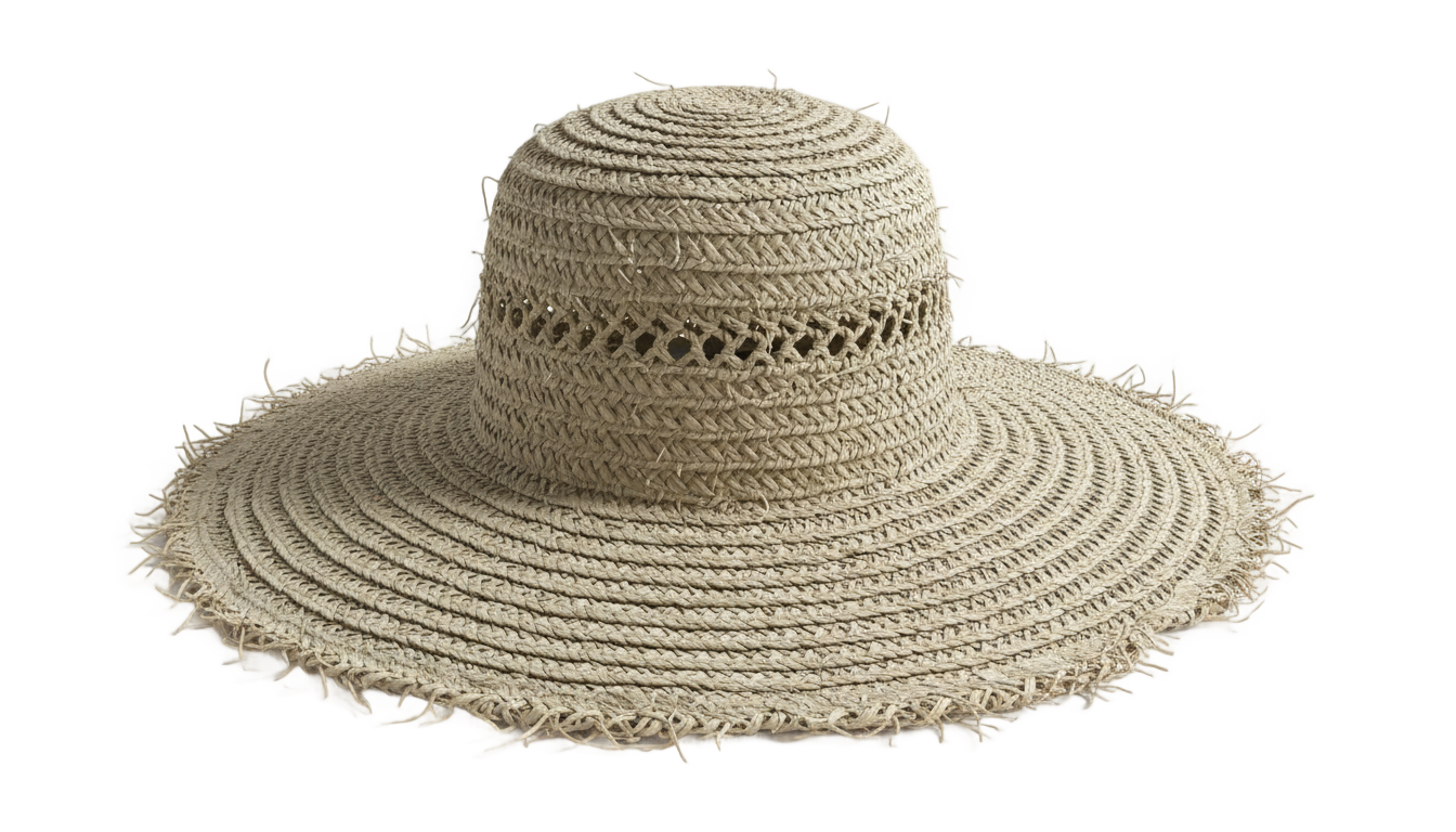 farmer hat png PNG transparent background