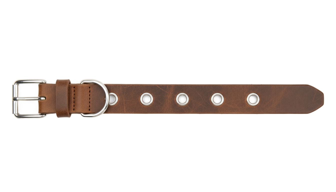 dog belt png PNG transparent background