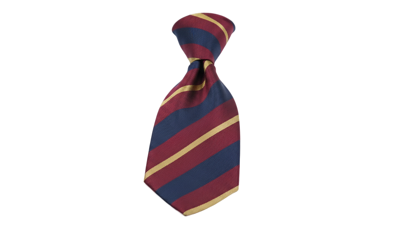 father's day tie png PNG transparent background